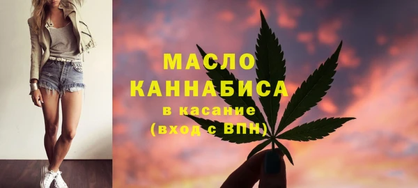 индика Армянск