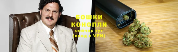 мет Арсеньев