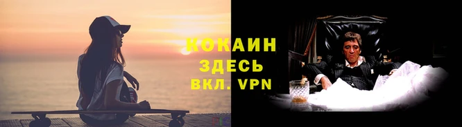 индика Армянск
